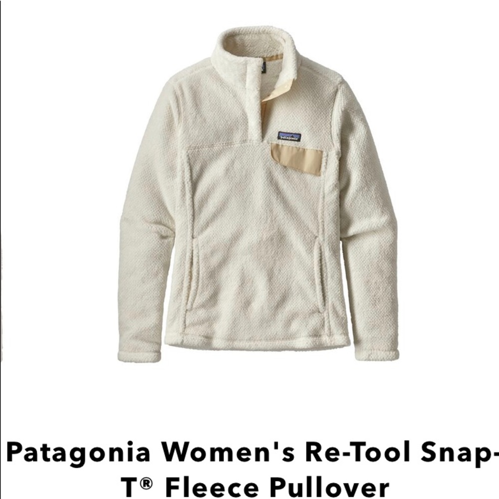 Patagonia Re-Tool Snap T Fleece